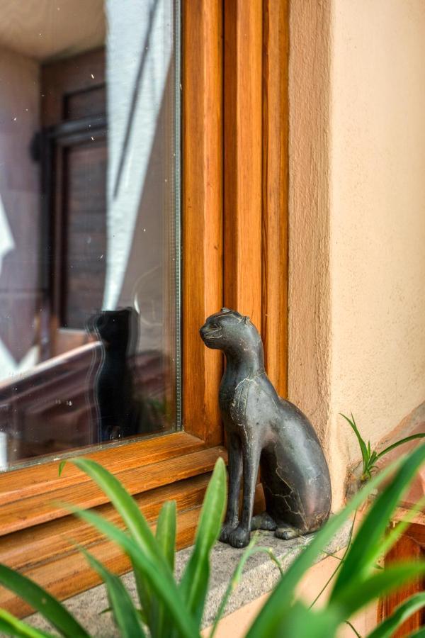 Maggiore 145 Apartment With Private Garden - Rione Monti โรม ภายนอก รูปภาพ